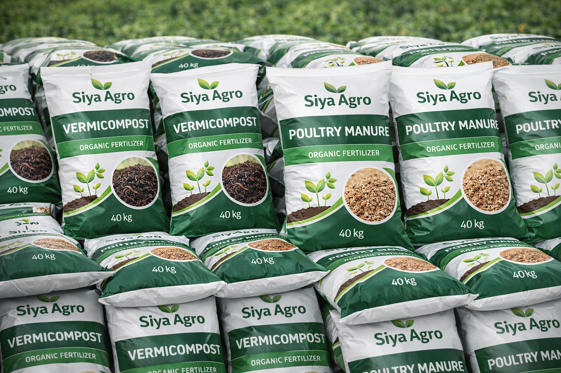 Organic Cowdung Fertilizer